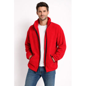 Polaire homme taille xl marque screen stars by fruit of the loom